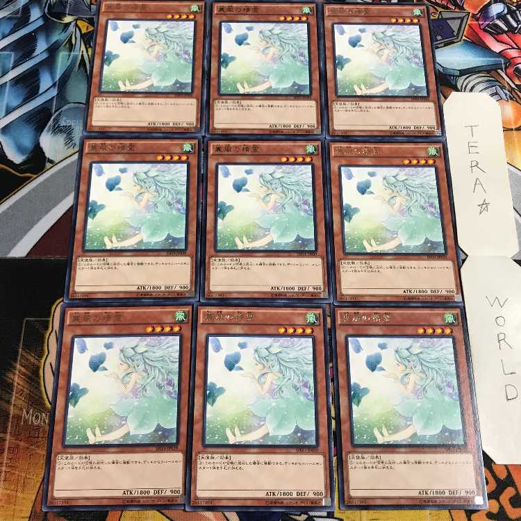 裏風の精霊 4 レア 9枚セット てら