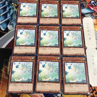 Spirit of the Fall Wind 5 rare, set of 9 Tera.