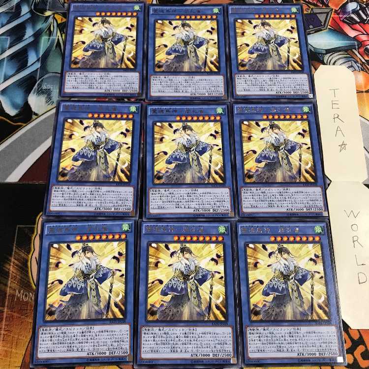 霊魂鳥神-彦孔雀 2 レア 9枚セット てら