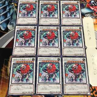 神樹の守護獣-牙王 5 レア 9枚セット てら