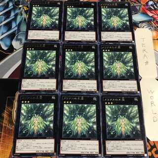 メリアスの木霊 4 レア 9枚セット てら