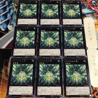 メリアスの木霊 5 レア 9枚セット てら