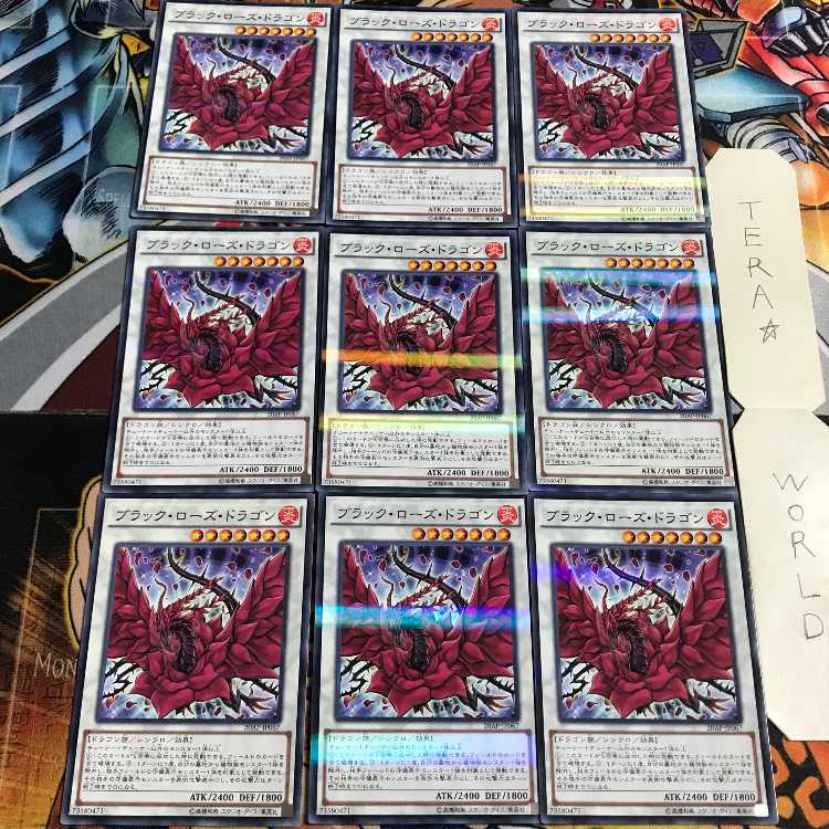 ブラック・ローズ・ドラゴン 5 ノーマルパラレル 9枚セット てら