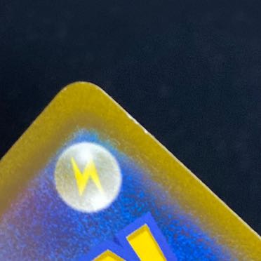 Rhododendron SR 081/067 1枚