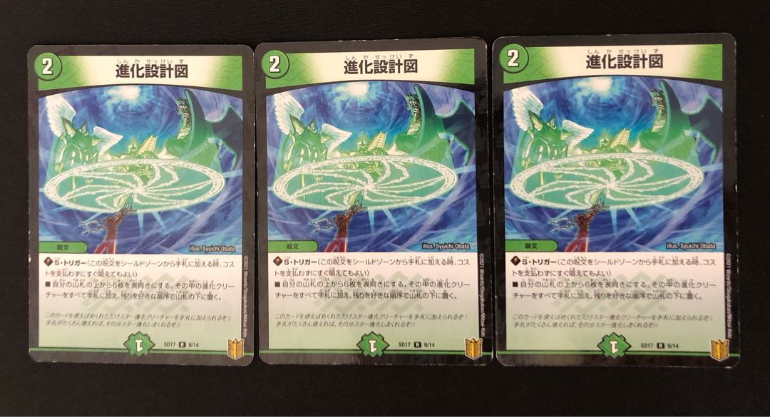 進化設計図 R-foil 9/14