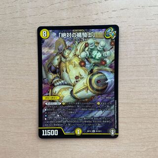 「絶対の楯騎士」 SR S1/S11