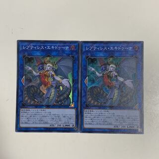 レプティレス・エキドゥーナ