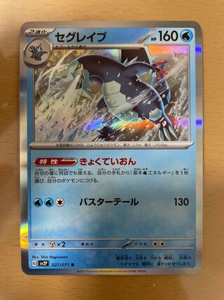 セグレイブ R 027/071