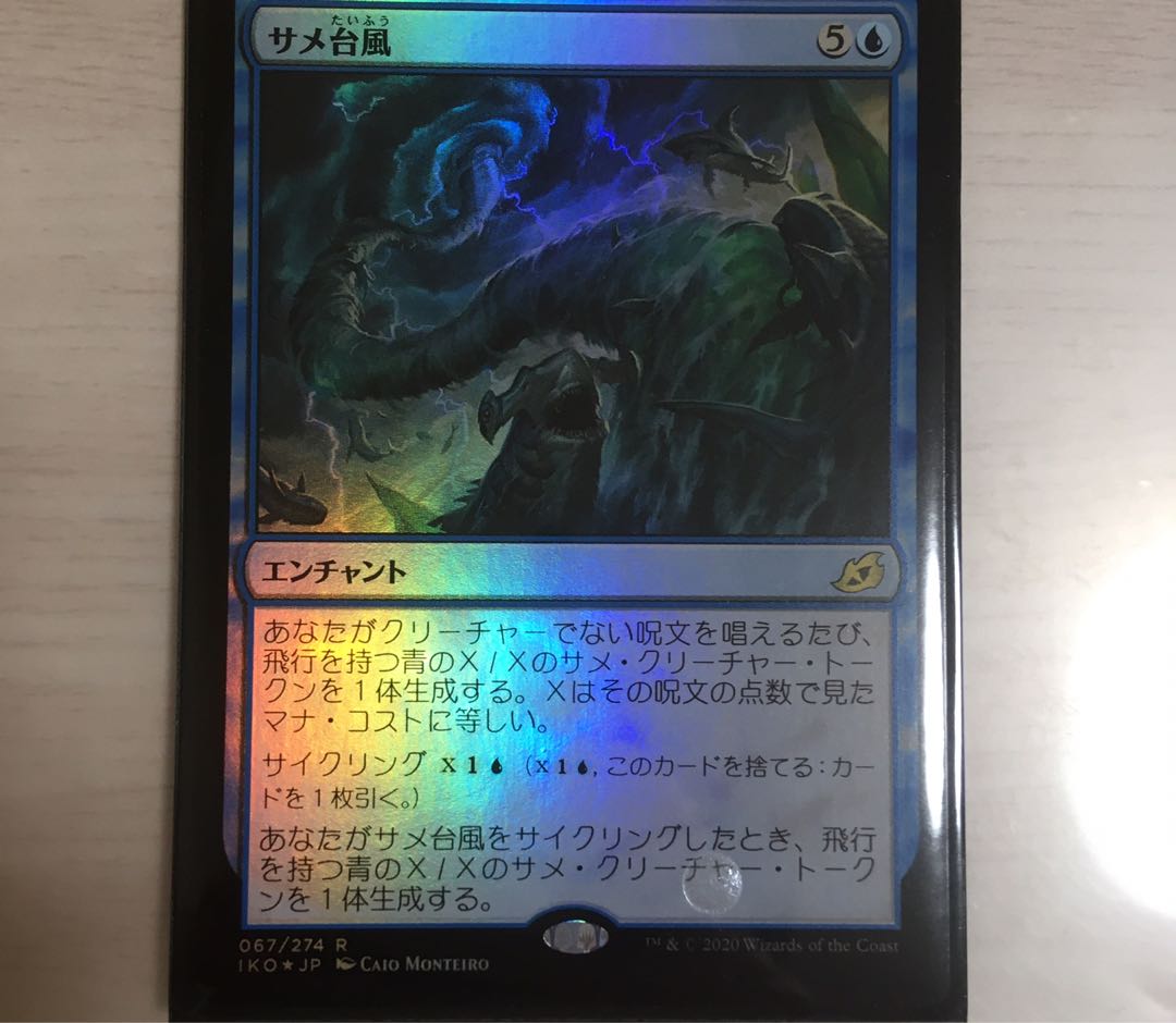 サメ台風 二種類