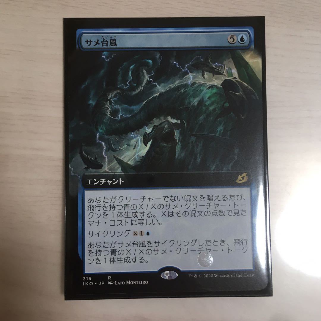 サメ台風 二種類