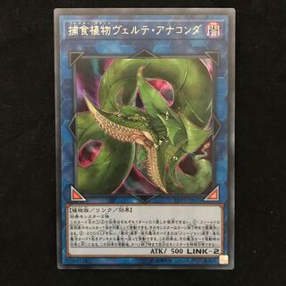 捕食植物ヴェルテアナコンダ