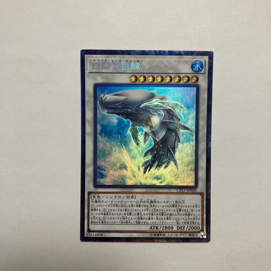 白闘気白鯨 コレクターズレア JP020