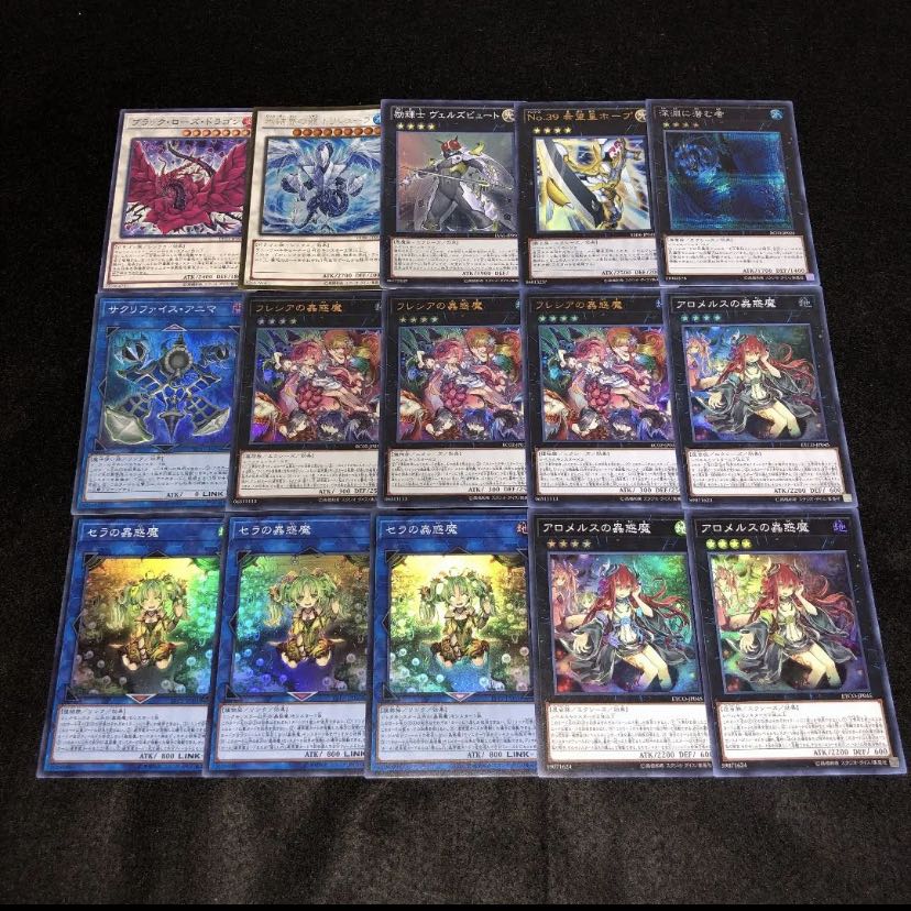 蟲惑魔デッキ　ガチ構築　うらら　増g 1枚