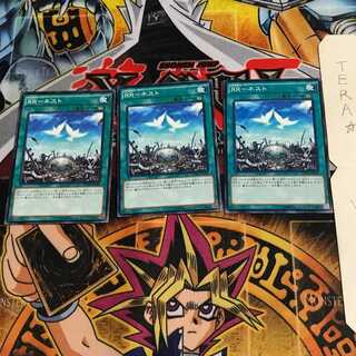 RR-ネスト SPWR 2 ノーマル 3枚セット てら