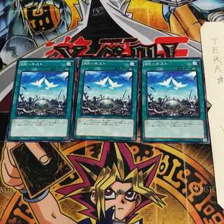 RR-ネスト SPWR 3 ノーマル 3枚セット てら