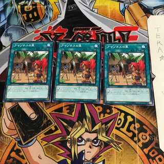 アマゾネスの里 DP18 1 ノーマル 3枚セット てら