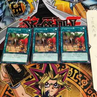 アマゾネスの里 DP18 2 ノーマル 3枚セット てら