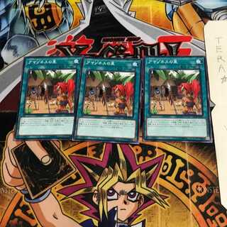 アマゾネスの里 DP18 3 ノーマル 3枚セット てら