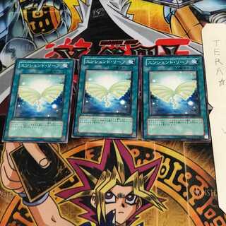 Ancient Leaf ANPR 3 Normal Set of 3 Tera