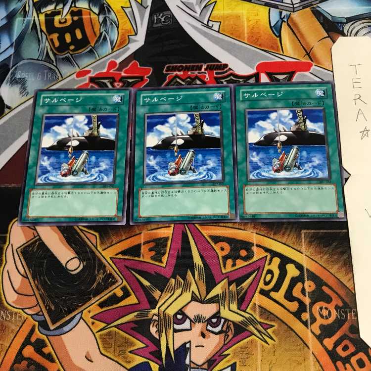 Salvage 307 2 Normal, set of 3 Tera.