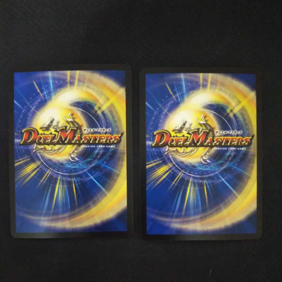 Goban Dragon Lake Porcher ParZero SR S2/S8