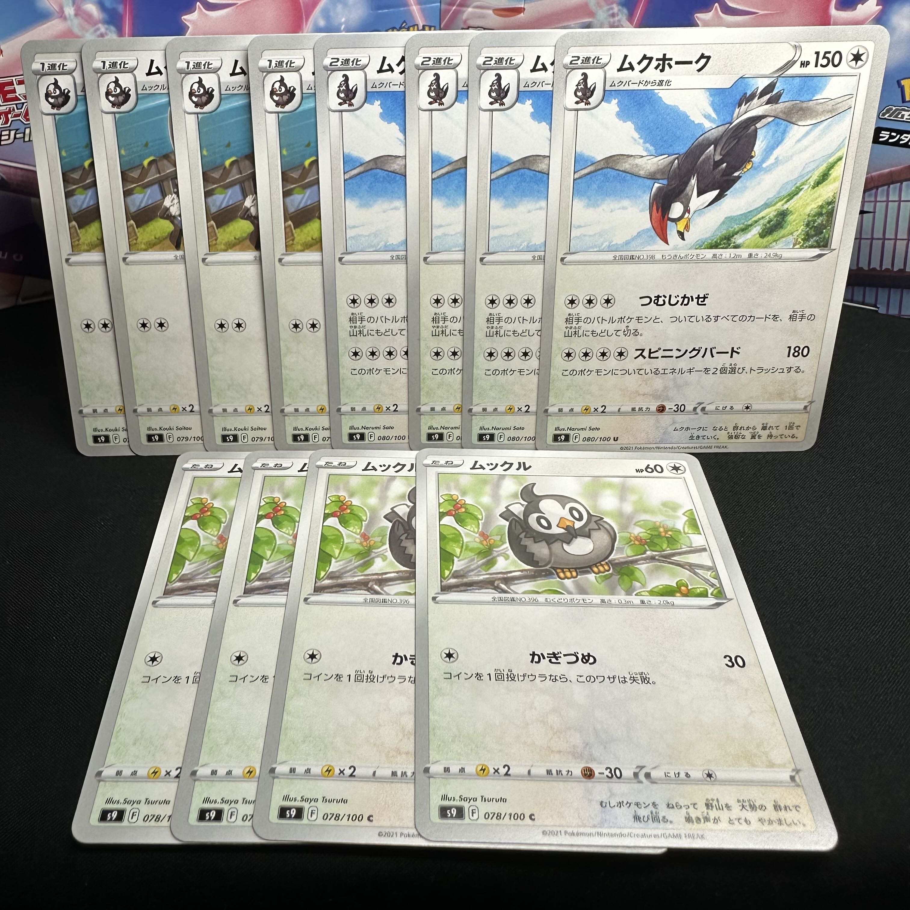 ムクホーク U 080/100 進化セット