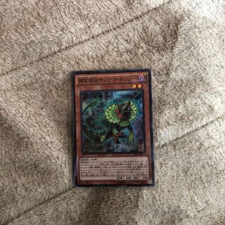 捕食植物サンデウ・キンジー