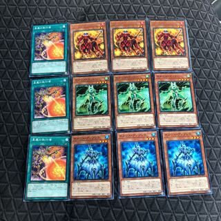 ネメシスセット