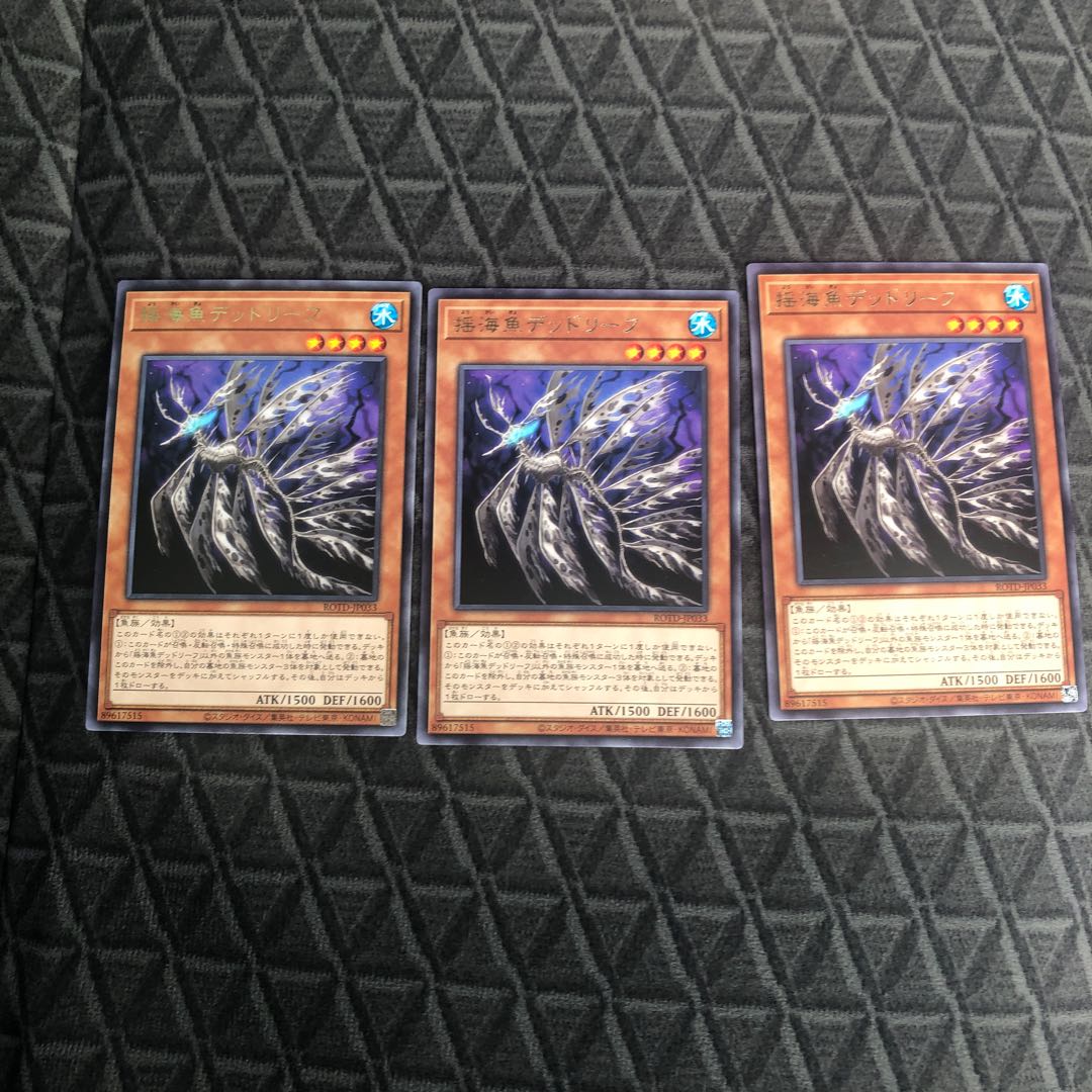 揺海魚デッドリーフ