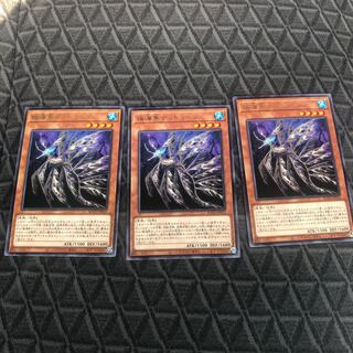 揺海魚デッドリーフ