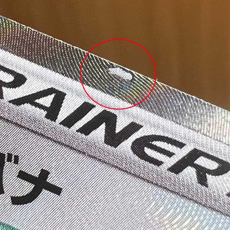 キバナ SR 07/067 S7D ポケモンカードゲーム ポケカ 1枚