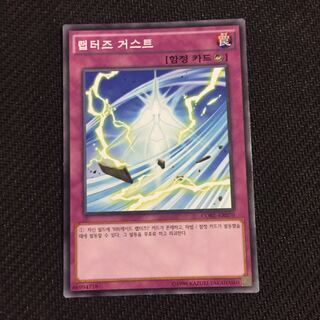 遊戯王 韓国語 ラプターズガスト 1枚