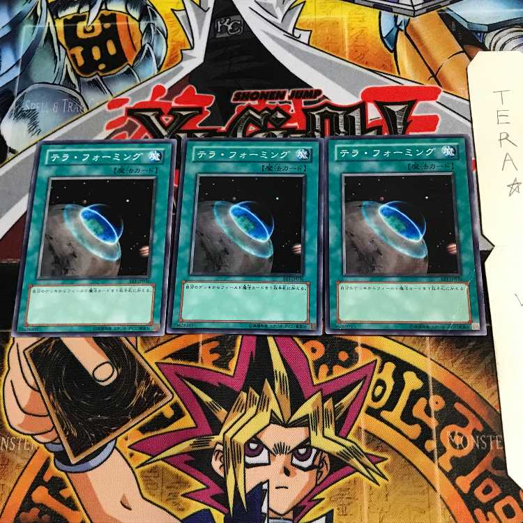 テラ・フォーミング EE1 2 ノーマル 3枚セット てら