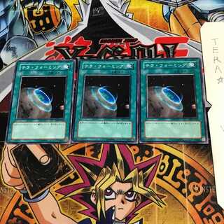 テラ・フォーミング EE1 2 ノーマル 3枚セット てら