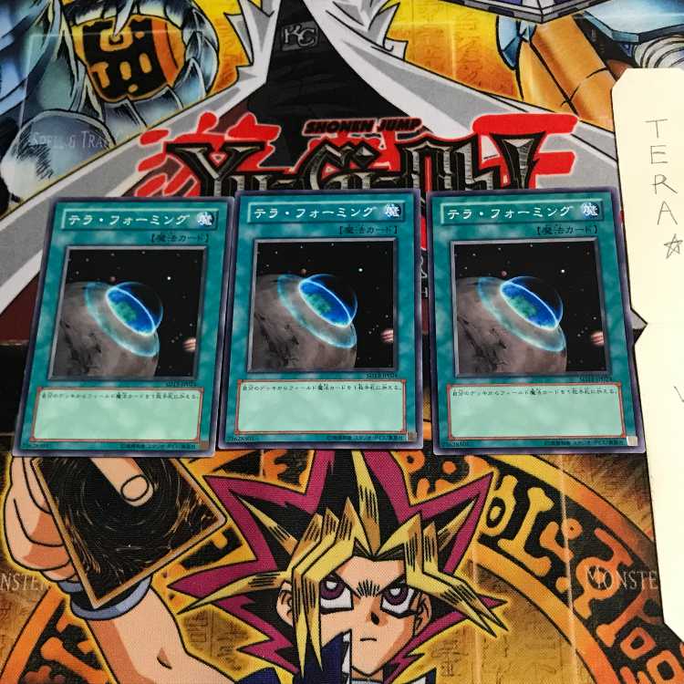 テラ・フォーミング SD13 3 ノーマル 3枚セット てら