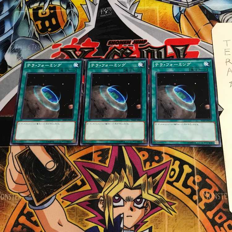 テラ・フォーミング SD29 3 ノーマル 3枚セット てら