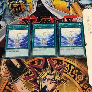 フォトン・リード DP13 2 ノーマル 3枚セット てら