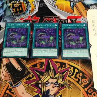 Predaponics DP22 1 Normal, set of 3 Tera.