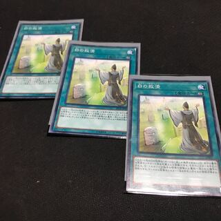 Whitefish Salvage Normal JP007