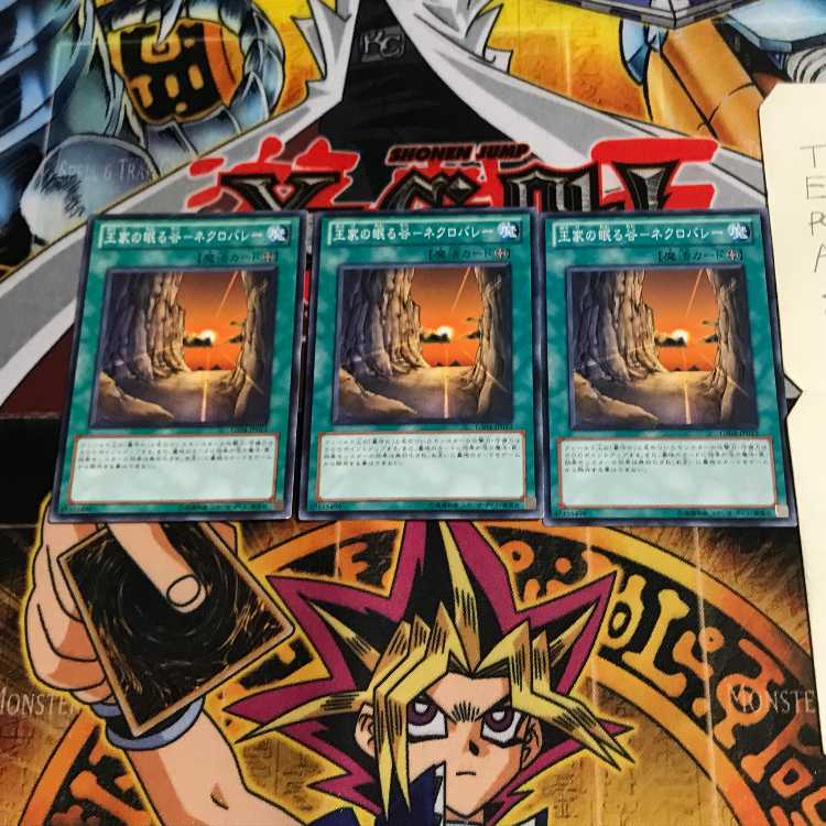 Valley of Sleep of Kings - Necro Valley GS04 2 Normal, set of 3 Tera.