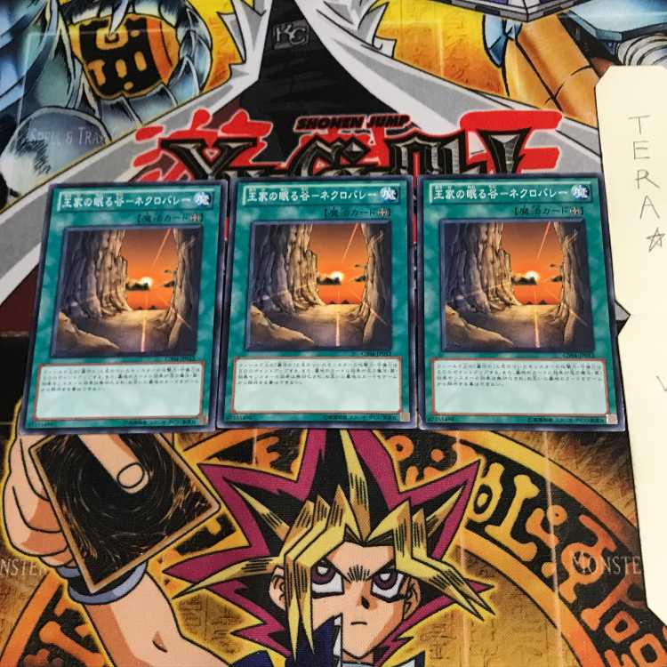 Valley of Sleep of Kings - Necro Valley GS04 3 Normal 3-card set Tera