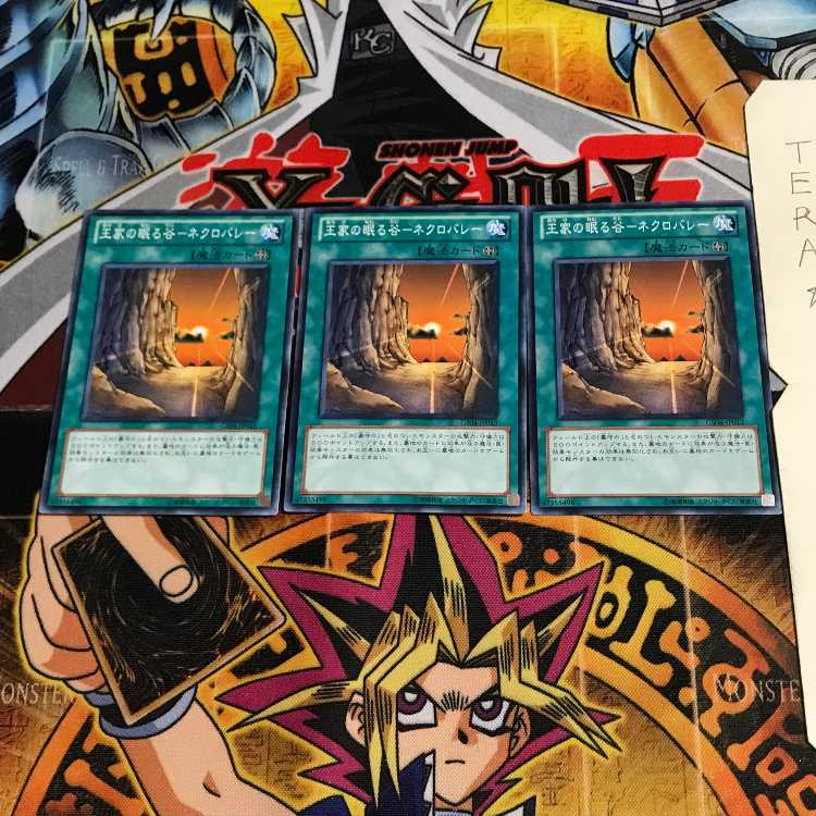 Valley of Sleep of Kings - Necro Valley GS04 4 Normal, set of 3 Tera.