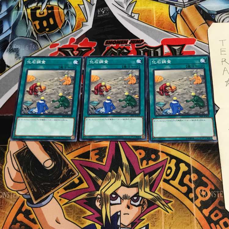 Fossil Dig 18SP 4 Normal Set of 3 Tera