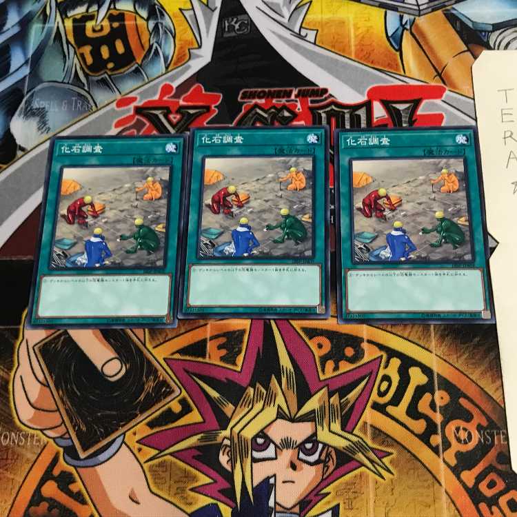 化石調査 18SP 7 ノーマル 3枚セット てら