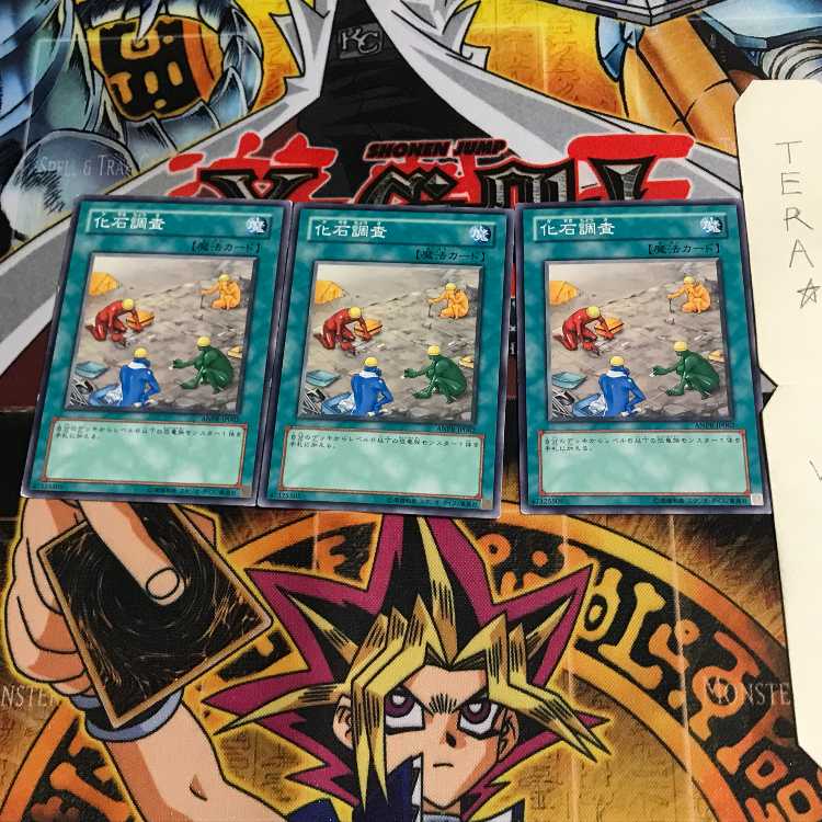 Fossil Dig ANPR 1 Normal Set of 3 Tera