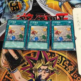 Fossil Dig ANPR 1 Normal Set of 3 Tera