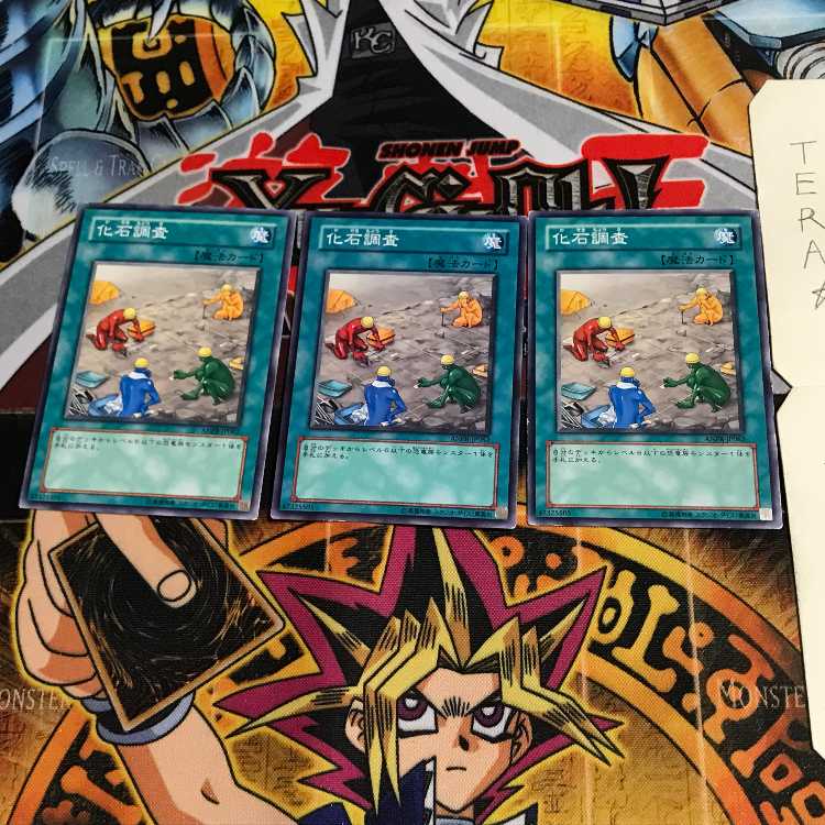 Fossil Dig ANPR 2 Normal Set of 3 Tera