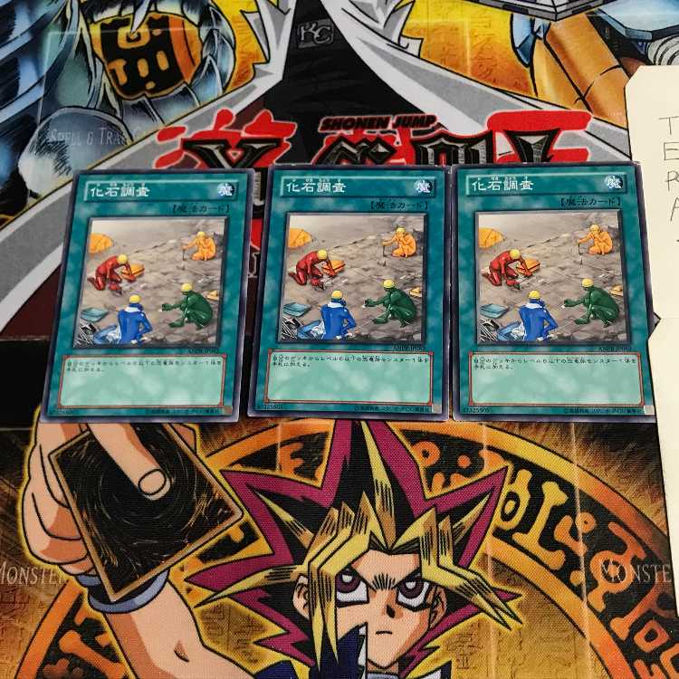 Fossil Dig ANPR 6 Normal Set of 3 Tera