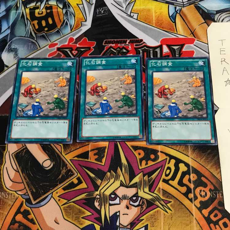 Fossil Dig DE04 1 Normal Set of 3 Tera