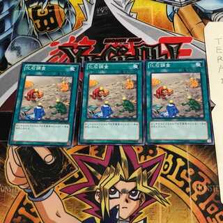 Fossil Dig DE04 2 Normal Set of 3 Tera